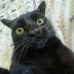 Profile picture of Brynn Fortner